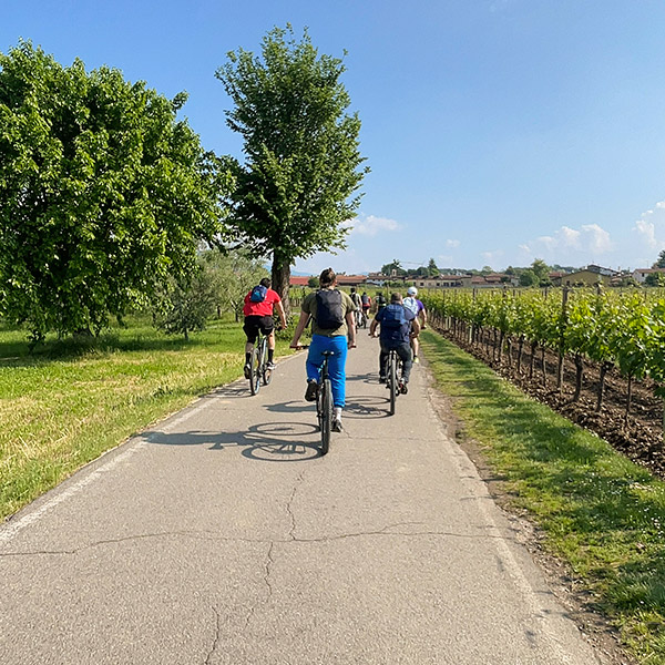 Franciacorta-Bike-Tour-14