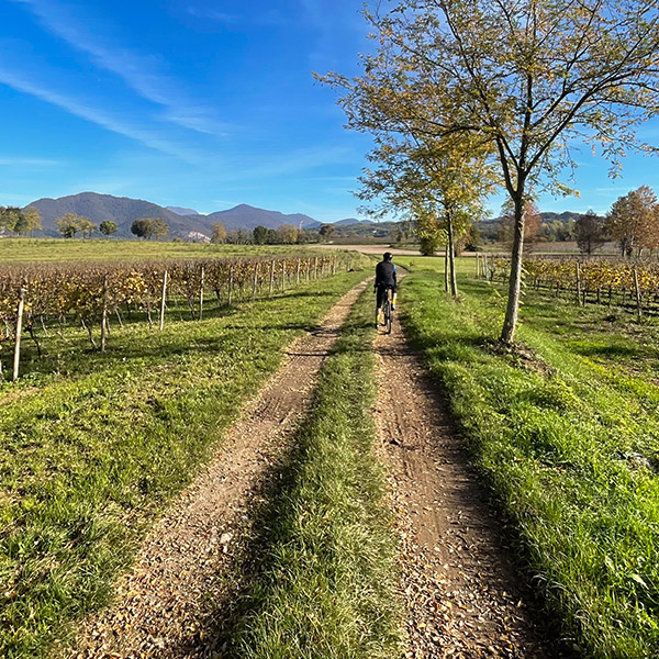 Franciacorta-Bike-Tour-21