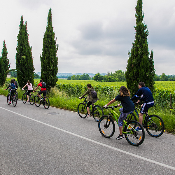 Franciacorta-Bike-Tour-23