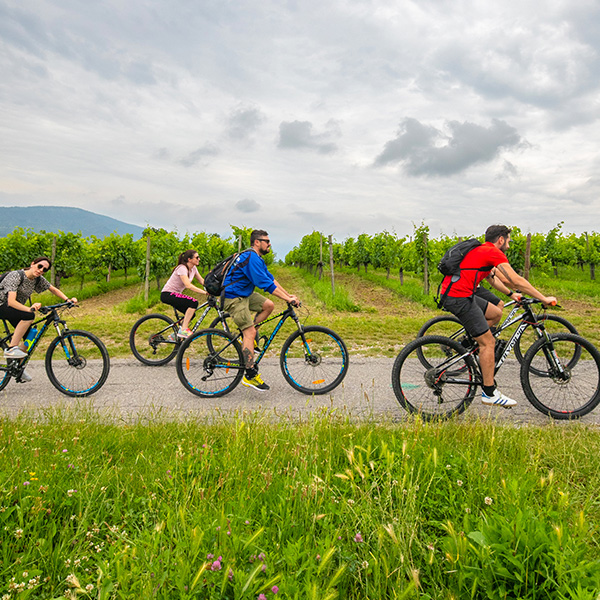 Franciacorta-Bike-Tour-26