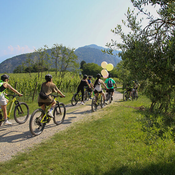 Franciacorta-Bike-Tour-22