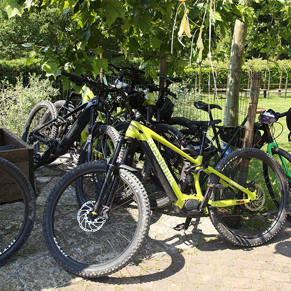 Franciacorta-Bike-Tour-29