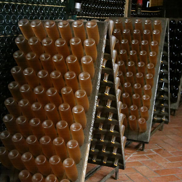 Franciacorta-Bike-Tour-33