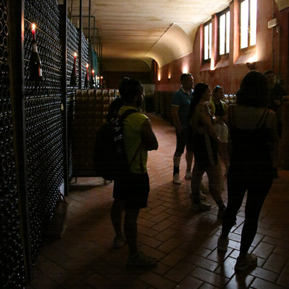 Franciacorta-Bike-Tour-34