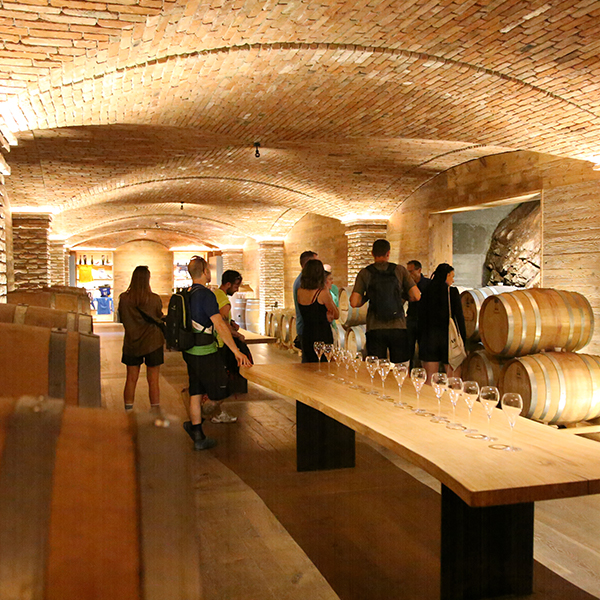 Franciacorta-Bike-Tour-35